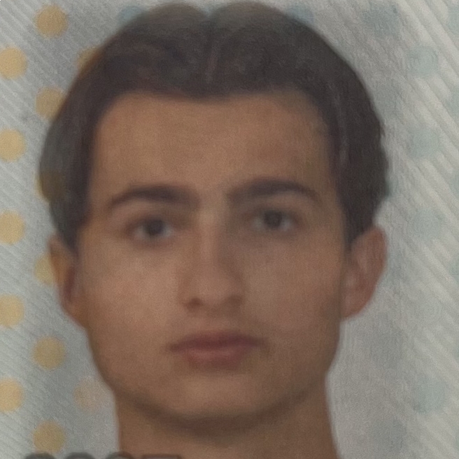 FIN SARFATY
