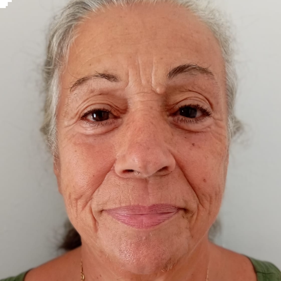 MARIA LUISA GOMEZ BARCELO
