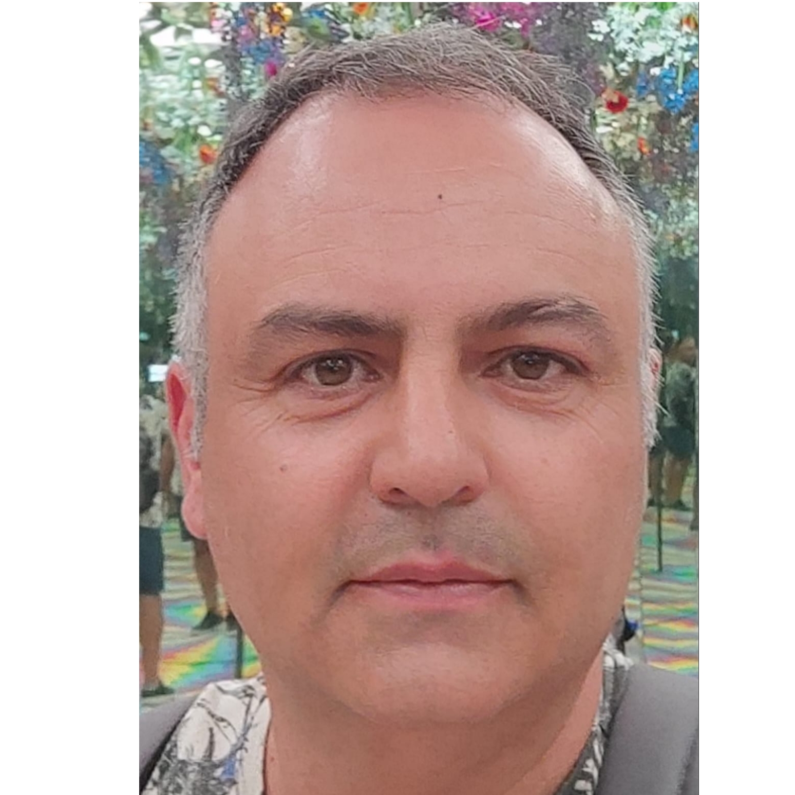 JOSE LUIS PALOMARES CARRASCO