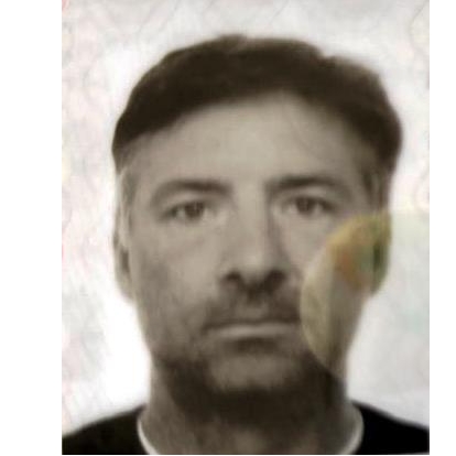 VINCENT ANDRE M. DENEUMOSTIER
