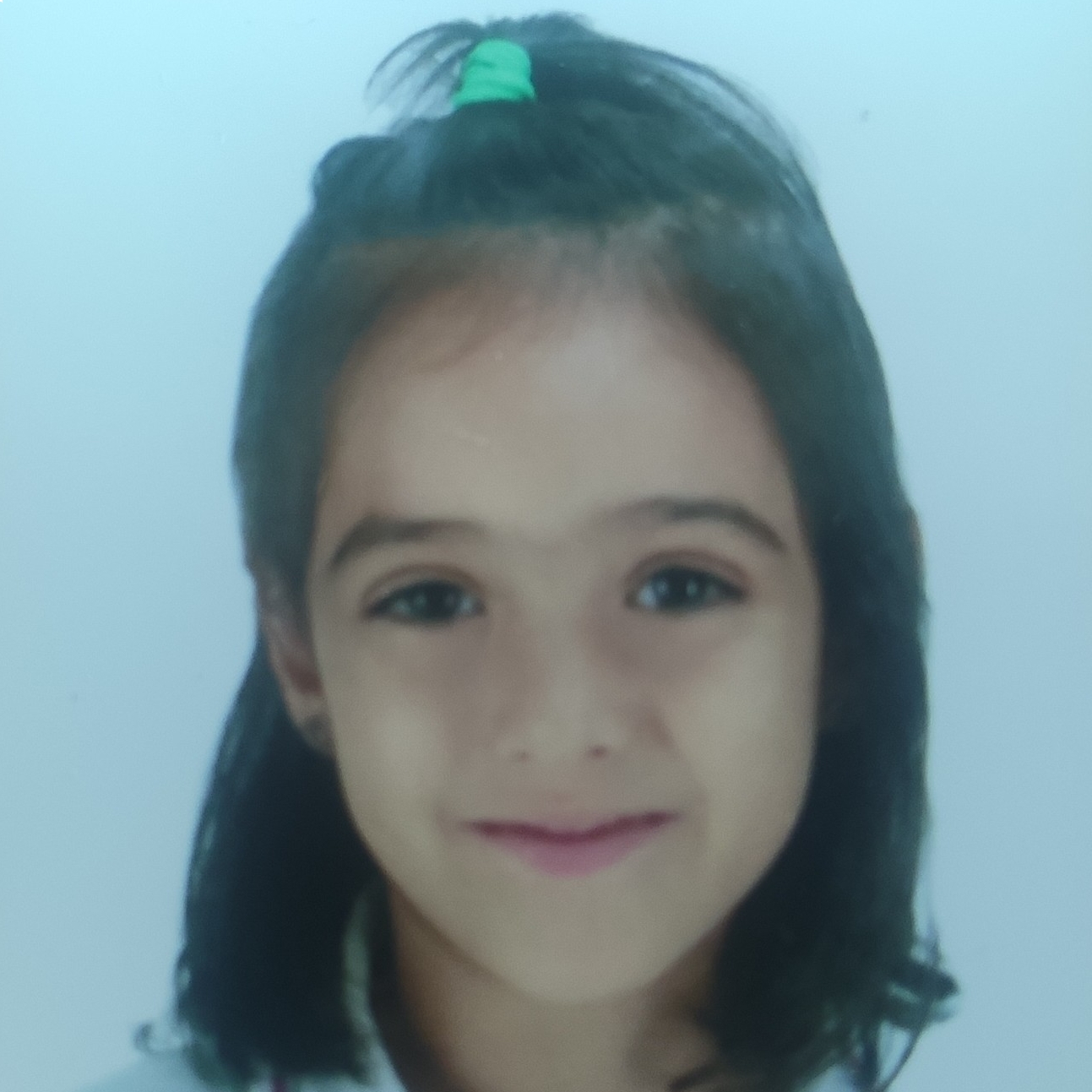 INES NEREA VILLALAR HERNANDO