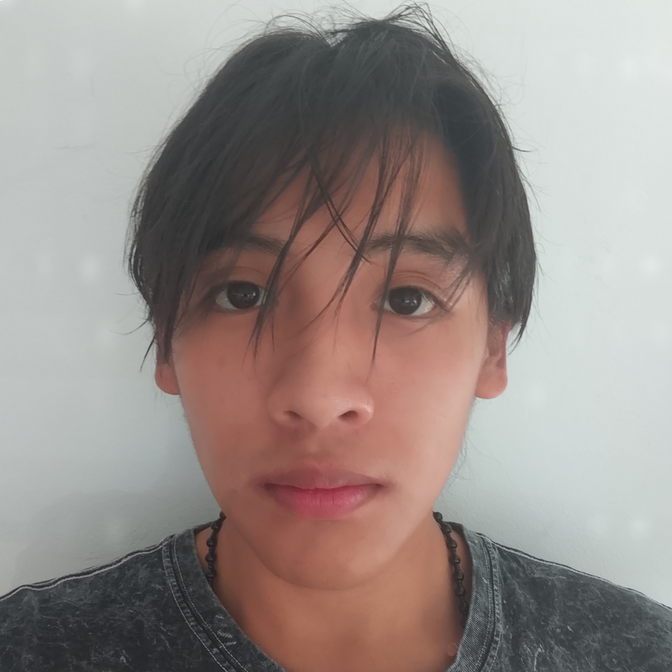 MANUEL SANTIAGO SANCHEZ RAMIREZ