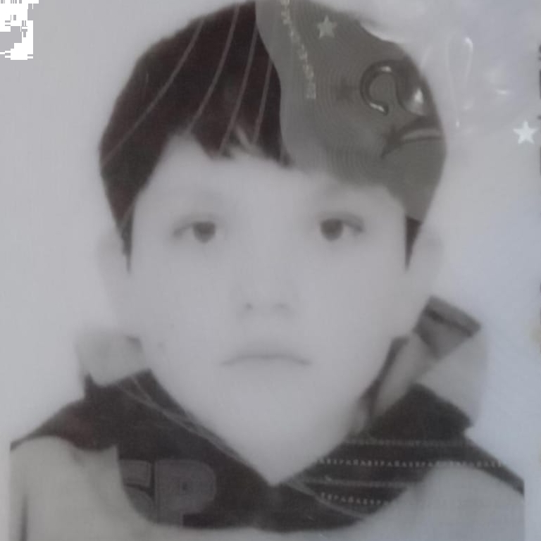 JAMIL EZEQUIEL BOGORNI