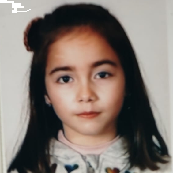 ELISA VALIENTE FERNANDEZ