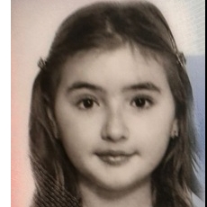 KATLEYA SYBILLIA PODUNAJEC