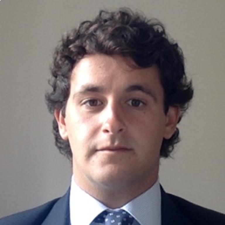 ALFONSO SALCINES GOMEZ-PARDO