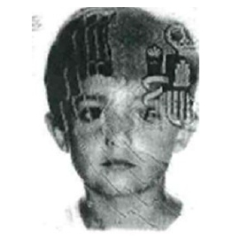 BORJA  HERRERO ORTEGA