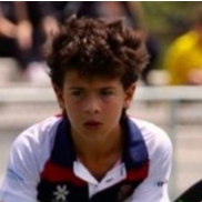 FRANCESC D'ASSIS FABREGAS VIDAL