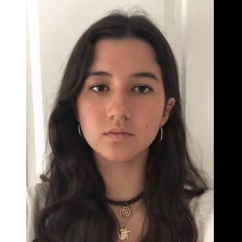 ICIAR MONTENEGRO RIESGO