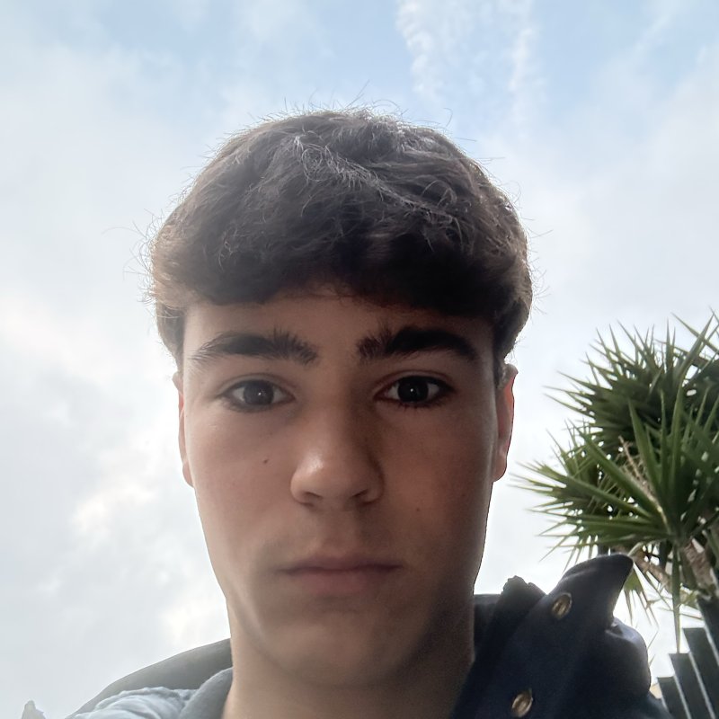 LUCAS FABREGAS PORCEL