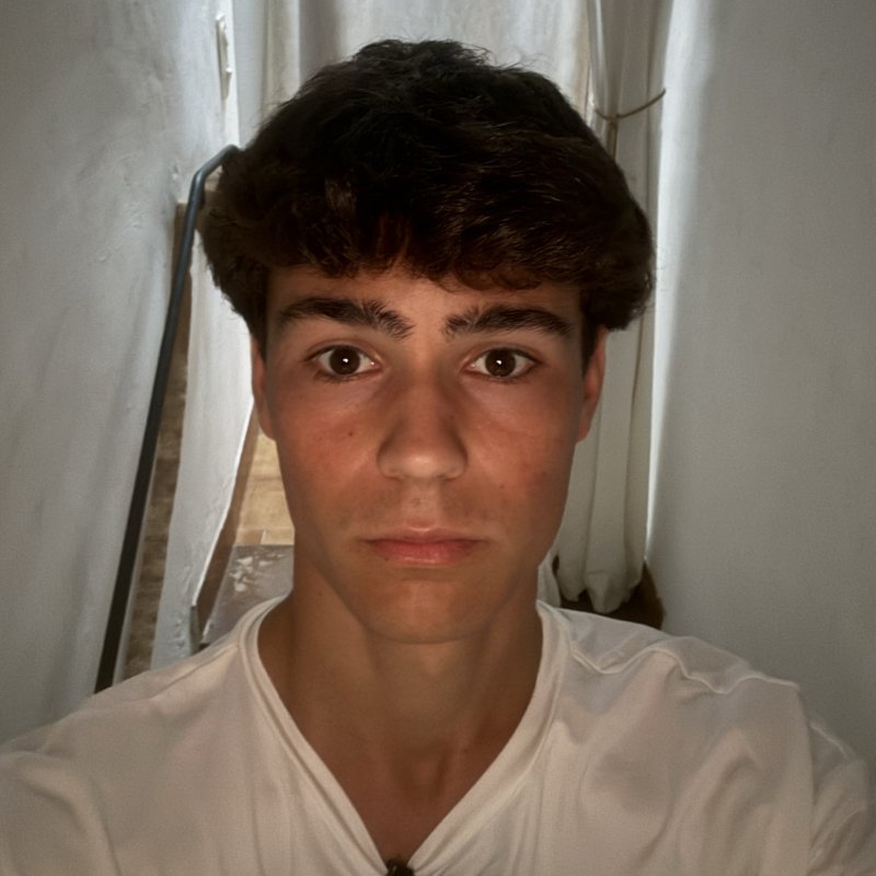 LUCAS FABREGAS PORCEL