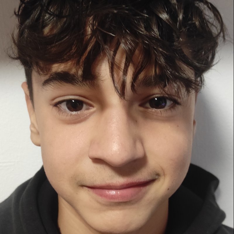 JAN VALLDEPERAS PUYAL